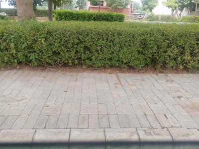 Image of 2961 Sq.ft Residential Plot / Land for sale in Omaxe Phase 3 Mullanpur, New Chandigarh, Chandigarh for Rs. 46060000
