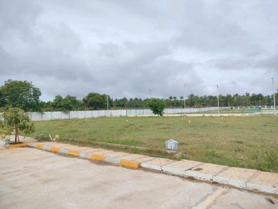 Residential Plot