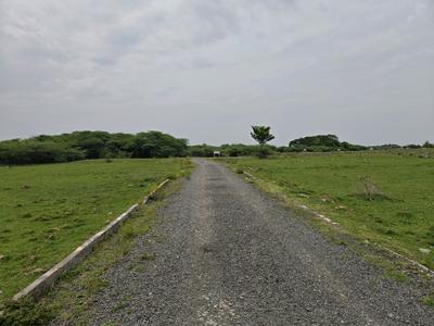 Image of 1050 Sq.ft Residential Plot / Land for sale in Singaperumal Koil, Chennai for Rs. 1573959