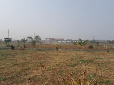 Besa Pipla Plot View 2