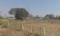 Chandshi Plot View 2