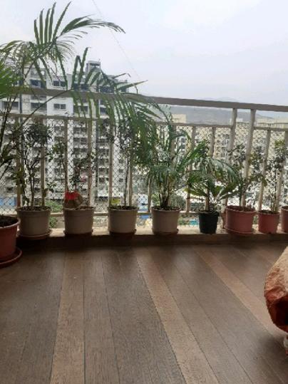 Ashapura Hill View Main Image 1