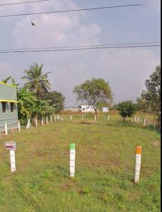 Kottaipalayam Plot View 2