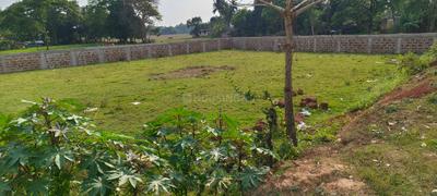 Image of 12200 Sq.ft Residential Plot / Land for sale in Balianta, Bhubaneswar for Rs. 21000000