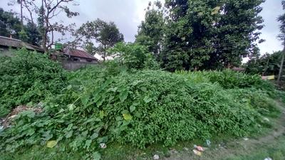 Image of 4320 Sq.ft Residential Plot / Land for sale in Pelku, Siliguri for Rs. 7000000