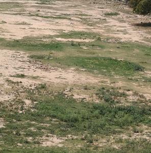 Image of 700 Sq.ft Residential Plot / Land for sale in Chi V, Greater Noida for Rs. 45500000