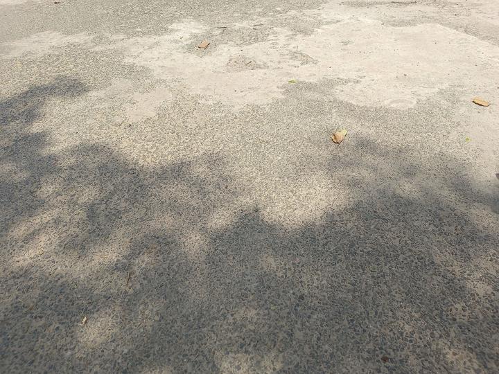 Swastik Greens Main Image 1