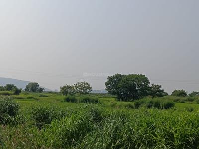 Image of 1089 Sq.ft Residential Plot / Land for sale in Umroli, Navi Mumbai for Rs. 300000