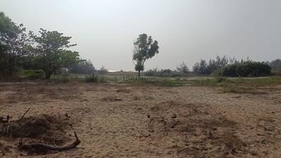 Image of 93108 Sq.ft 4 BHK Farm House for sale in Morjim, Goa for Rs. 1100000000