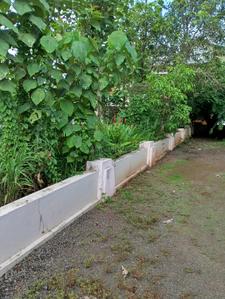 Image of 1500 Sq.ft 3 BHK Independent House for rent in Pukkattupady, Kochi for Rs. 19000