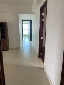 Hall Image of 2300 Sq.ft 3 BHK Apartment / Flat for rent in Ceebros One 74, Raja Annamalai Puram Chennai for Rs. 290000