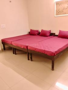 Bedroom Image of Global Stay PG in Sector 38, Gurgaon