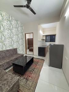 Hall Image of 950 Sq.ft 1 BHK Apartment / Flat for rent in Palasia Indore for Rs. 17000
