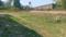 Doiwala Plot View 3