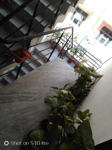 Image of 832 Sq.ft 2 BHK Apartment / Flat for sale in Modipuram, Meerut for Rs. 2500000