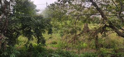 Image of 1200 Sq.ft Residential Plot / Land for sale in Vajarahalli, Bengaluru for Rs. 18000000
