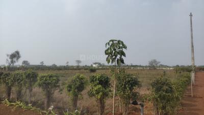 Image of 15000 Sq.ft Residential Plot / Land for sale in Sejbahar, Raipur for Rs. 7900000