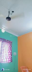 Hall Image of 1000 Sq.ft 1 RK Independent House for rent in Rajkishor Nagar Bilaspur for Rs. 6000
