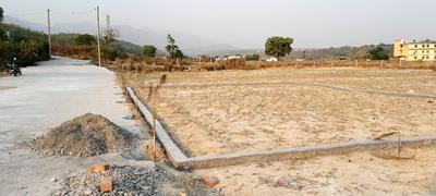 Bhadhraj Enclave More Images 2