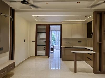Living Room Image of 750 Sq.ft 2 BHK Apartment / Flat for sale in Planner PNM Homes by Planner N Maker, Nangli Sakrawati New Delhi for Rs. 5800000