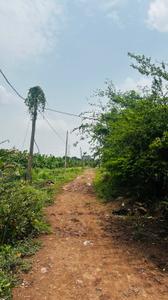 Image of 5000 Sq.ft Residential Plot / Land for sale in Kapasda, Durg for Rs. 2875000