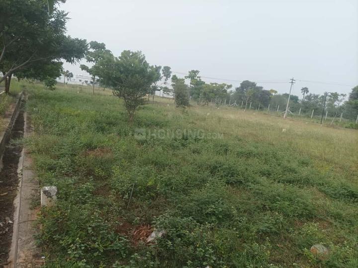 Avinashi Taluk Main Image 1