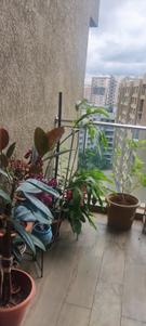 Balcony Image of 831 Sq.ft 2 BHK Apartment / Flat for sale in Runal Gateway, Ravet Pune for Rs. 11000000