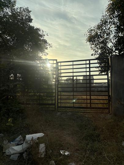 Mayura City Main Image 1