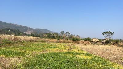 Image of 83590 Sq.ft Residential Plot / Land for sale in Mahad, Raigad for Rs. 7000000
