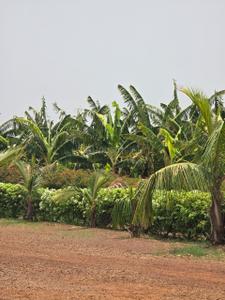 Image of 10000 Sq.ft Residential Plot / Land for sale in Kumhari, Bhilai for Rs. 6051000