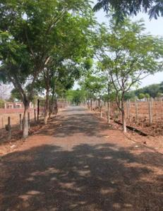 Image of 5005 Sq.ft Residential Plot / Land for sale in Neral, Thane for Rs. 5000254