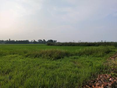 Image of 720 Sq.ft Residential Plot / Land for sale in Asha Enclave, New Town, Kolkata for Rs. 1200000