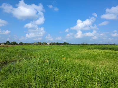 Image of 720 Sq.ft Residential Plot / Land for sale in Wander Valley, Joka, Kolkata for Rs. 271414