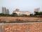 New Town Plot View 2