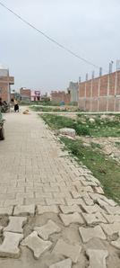 SSB GROUP Plot View 3