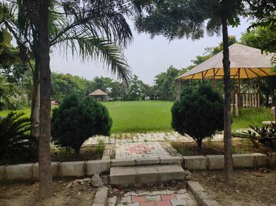 Royal palm colony batala More Images 1