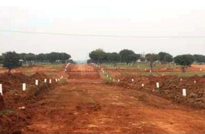 Residential Plot