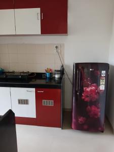 Kitchen Image of 765 Sq.ft 2 BHK Apartment / Flat for rent in Lodha Casa Bella, Palava Phase 1 Thane for Rs. 17000