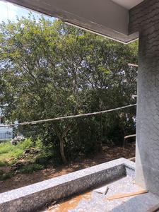 Living Room Image of 3150 Sq.ft 5 BHK Apartment / Flat for sale in Talaghattapura Bengaluru for Rs. 29000200