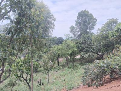 Image of 9600 Sq.ft Residential Plot / Land for sale in Moonjikal, Kodaikanal for Rs. 4950000