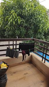 Image of 550 Sq.ft 1 BHK Apartment / Flat for rent in Scheme No 54, Indore for Rs. 15000