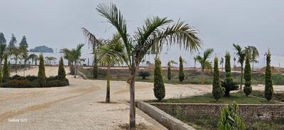Image of 100 Sq.ft Residential Plot / Land for sale in Mugalpur Urf Aghwanpur Mustahk, Moradabad for Rs. 2200000