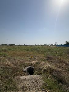 Image of 330 Sq.ft Residential Plot / Land for sale in Wave City Plots, Wave City, Ghaziabad for Rs. 26400000