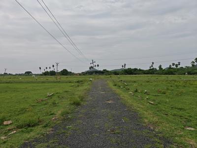 Residential Plot
