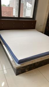 Bedroom Image of 1600 Sq.ft 3 BHK Apartment / Flat for rent in Fortune 361, Sama Savli Vadodara for Rs. 35000