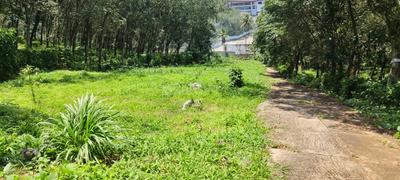 Image of 243 Sq.ft Residential Plot / Land for sale in Kunnathukal, Thiruvananthapuram for Rs. 280000