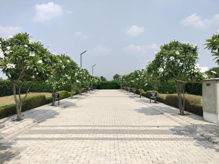 Mansha Oaks Main Image 1