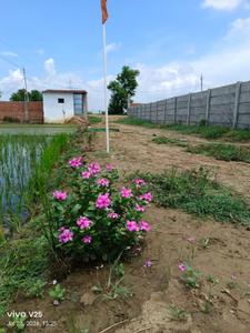 Image of 1361 Sq.ft Residential Plot / Land for sale in Patna Aiims, Patna for Rs. 2722000