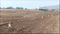Shinde Main Image 1
