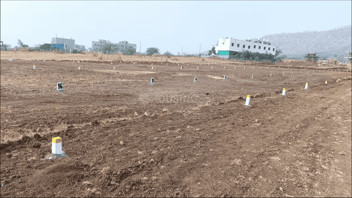 Shinde Main Image 1